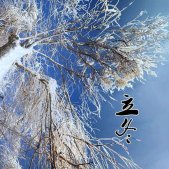 2021唯美又很好看的立冬背景图 一口饺子补嘴空暖意罐迎立冬