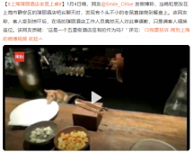 上海璞丽酒店老鼠上桌 酒店工作人员回应:已道歉