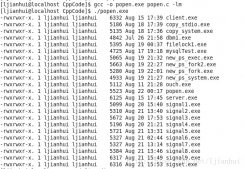 Linux通过匿名管道进行进程间通信