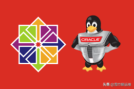 Oracle Linux 能否成为企业级 CentOS 的替代品？