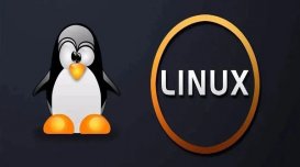 Linux 进程编程入门