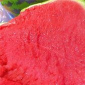 清甜爽口的好看西瓜图片 祝大家今天夏天买到的瓜都是梦中情瓜