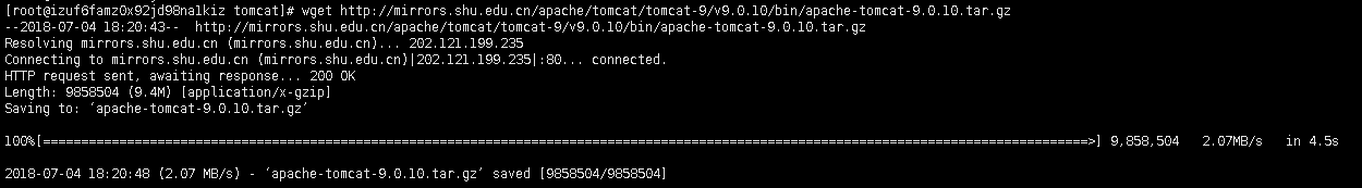 Linux CentOS下安装Tomcat9及web项目的部署