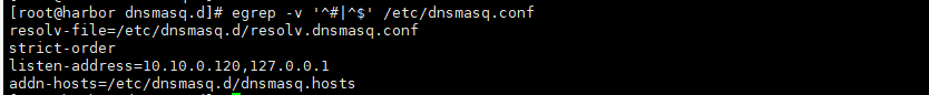 轻量级域名解析服务器之dnsmasq的介绍与部署