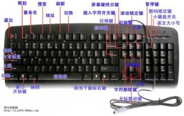 学电脑键盘基本知识 电脑键盘最详细基础知识图解