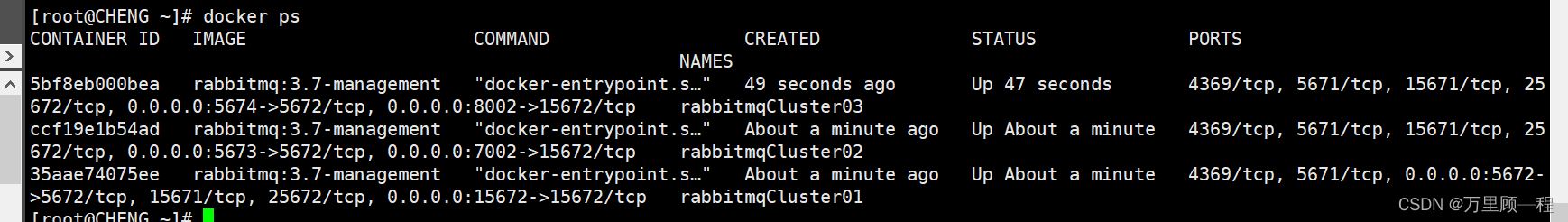 Docker搭建RabbitMQ集群的方法步骤