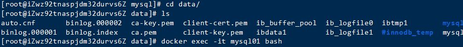 Docker挂载资料卷保存MySQL数据