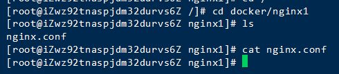 Docker挂载资料卷部署Nginx