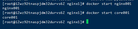 Docker挂载资料卷部署Nginx