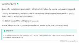 nginx ingress代理websocket流量的配置方法