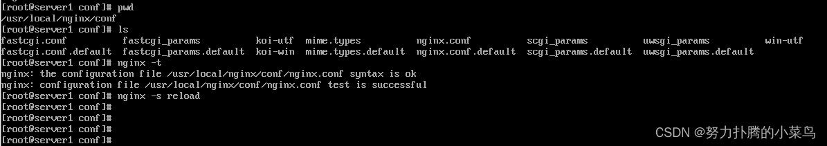 nginx限流及配置管理实战记录