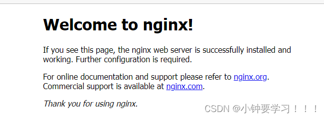 SpringBoot前端后端分离之Nginx服务器下载安装过程