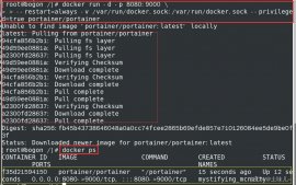Docker Portainer 可视化面板的使用
