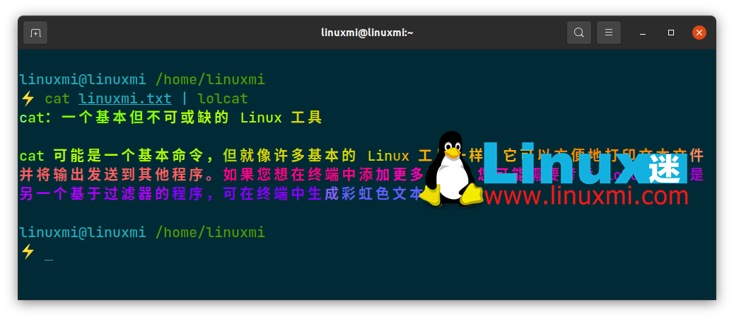 如何在 Linux 上正确使用 cat 命令