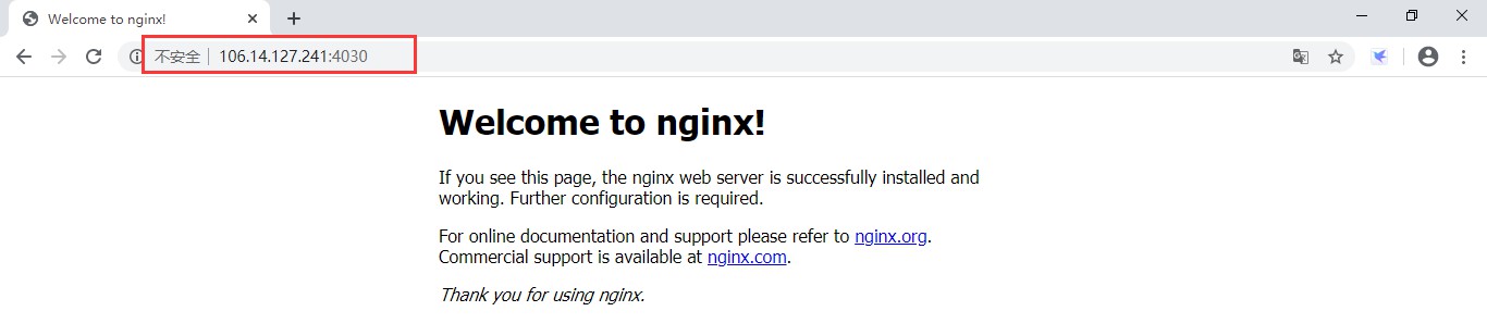 Docker容器下运行Nginx并实现反向代理