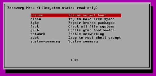 使用‘fsck’修复Linux中文件系统错误的方法