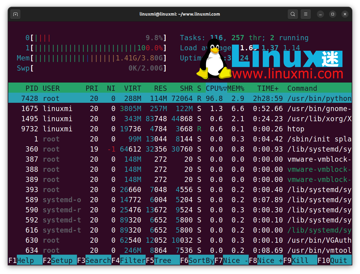深入理解 Linux 上的虚拟内存