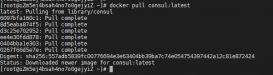 Docker 安装 Consul单机模式的操作方法