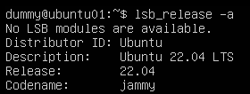 VMware 虚拟机图文安装和配置 Ubuntu Server 22.04 LTS 的详细步骤