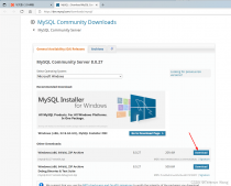 Mysql 8.0解压版下载安装以及配置的实例教程