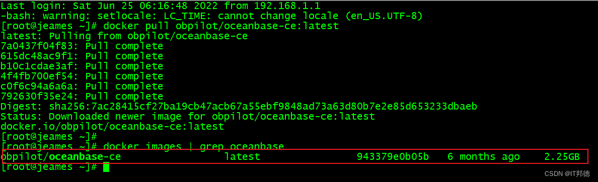 Docker安装部署分布式数据库 OceanBase的详细过程