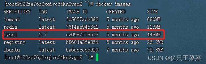 Docker安装mysql超详细步骤记录