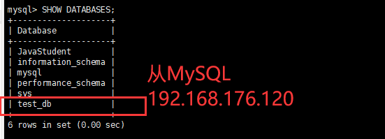 Linux系统下MySQL配置主从分离的步骤