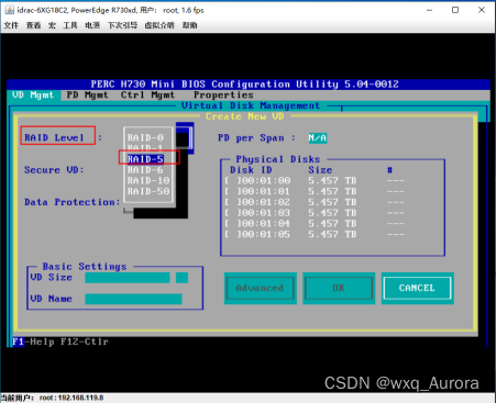 戴尔服务器配置（格式数据、RAID5、安装ESXI）图文教程