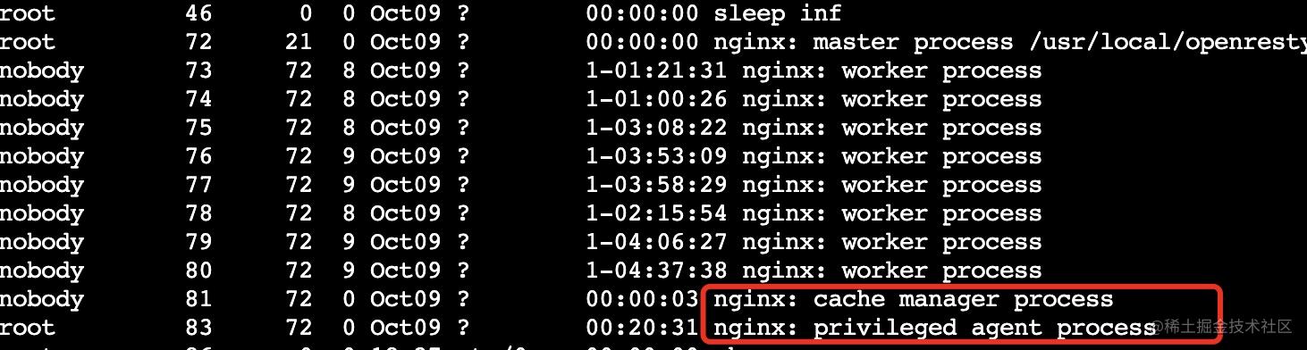 修改Nginx源码实现worker进程隔离实现详解