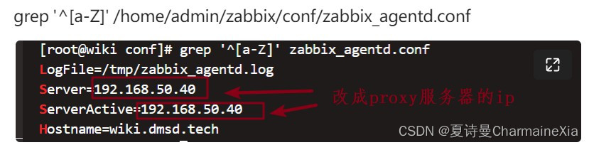 zabbix集群搭建分布式监控的操作步骤
