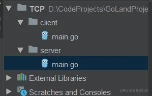 Go语言TCP从原理到代码实现详解