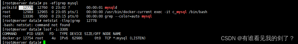 docker部署mysql后无法连接的解决方式