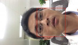 python使用mediapiple+opencv识别视频人脸的实现