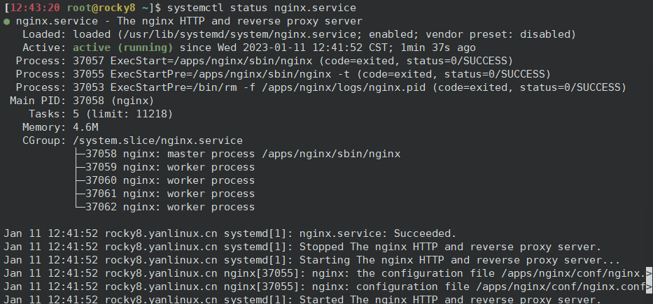 nginx编译安装及常用参数详解