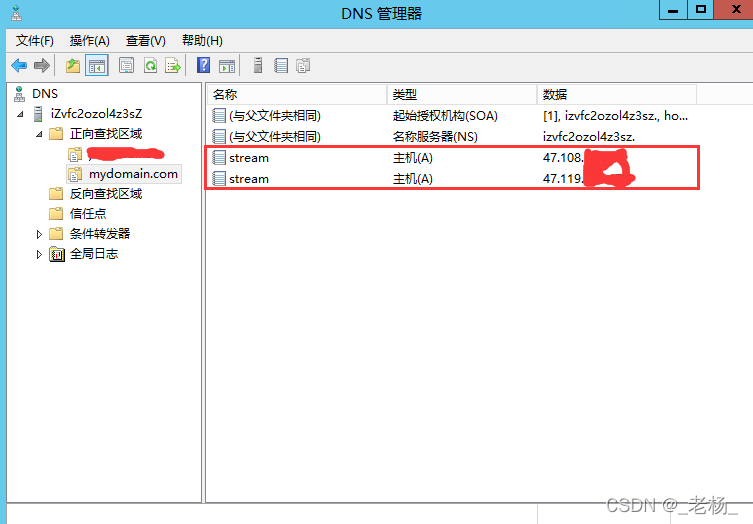 最新Windows Server 2012 搭建DNS服务器的详细步骤