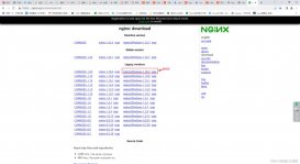 win10系统安装Nginx的详细步骤