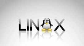 Linux常用高频命令