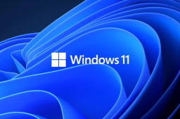 微软发布新的免费 Win11 虚拟机 (2302)