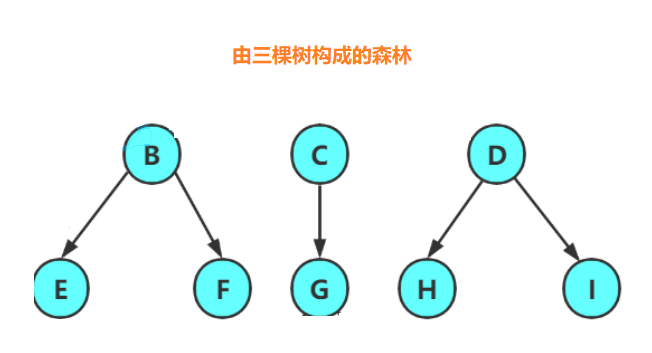 C语言中关于树和二叉树的相关概念