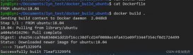 Dockerfile建立一个自定义的镜像执行自定义进程详细过程