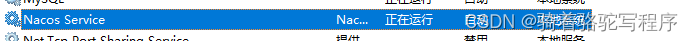 windows服务器安装nacos服务的过程