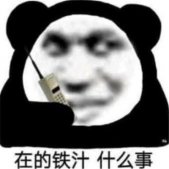 2023熊猫头必备的斗图表情最新 在的铁汁什么事