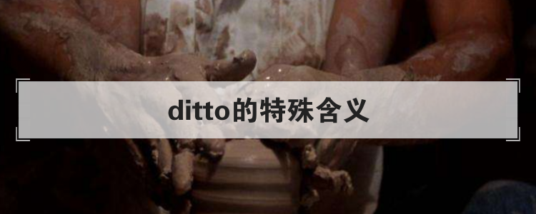 ditto是什么意思(ditto的特殊含义)