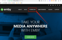 本地搭建Emby媒体库服务器并在外网访问(无需公网IP)