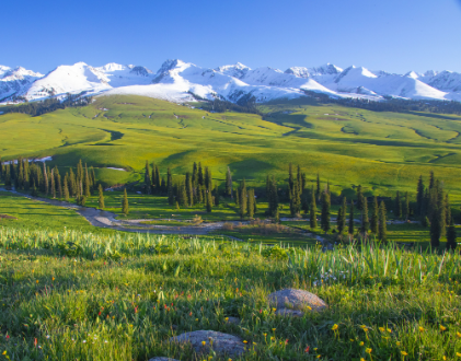 去新疆旅游发的朋友圈文案 超美超自由的新疆说说