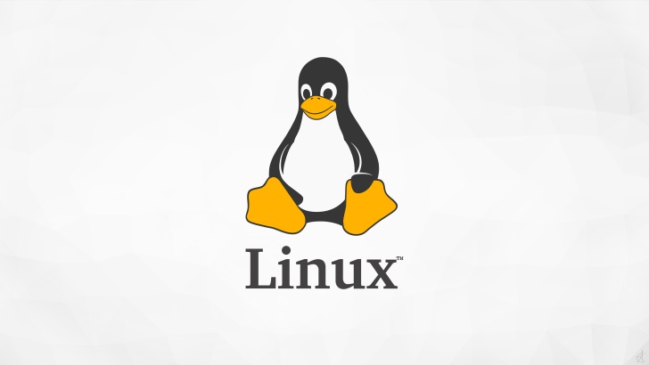 Linux权限的基本知识