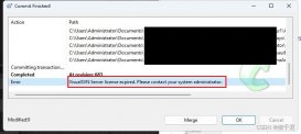 Visual SVN Server license expired.(可视化SVN服务器许可证过期问题)