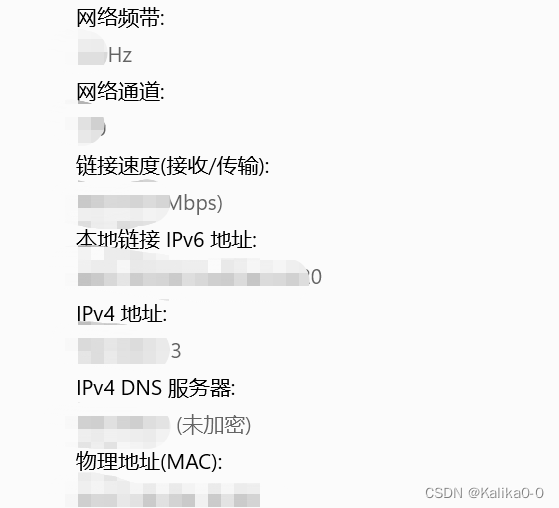 本机DNS服务器地址查询