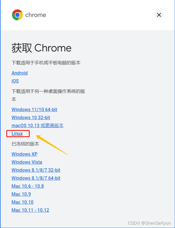 银河麒麟服务器操作系统V10SP2离线安装Google Chrome浏览器